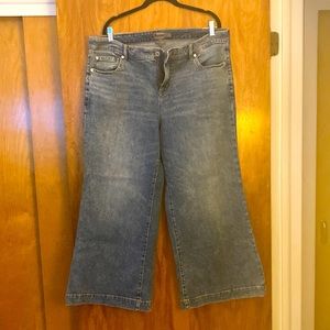 Torrid 18S wide-leg jeans